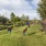 a large grass area